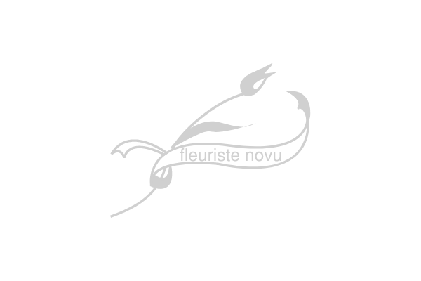 【フラワーアレンジメント】Bright