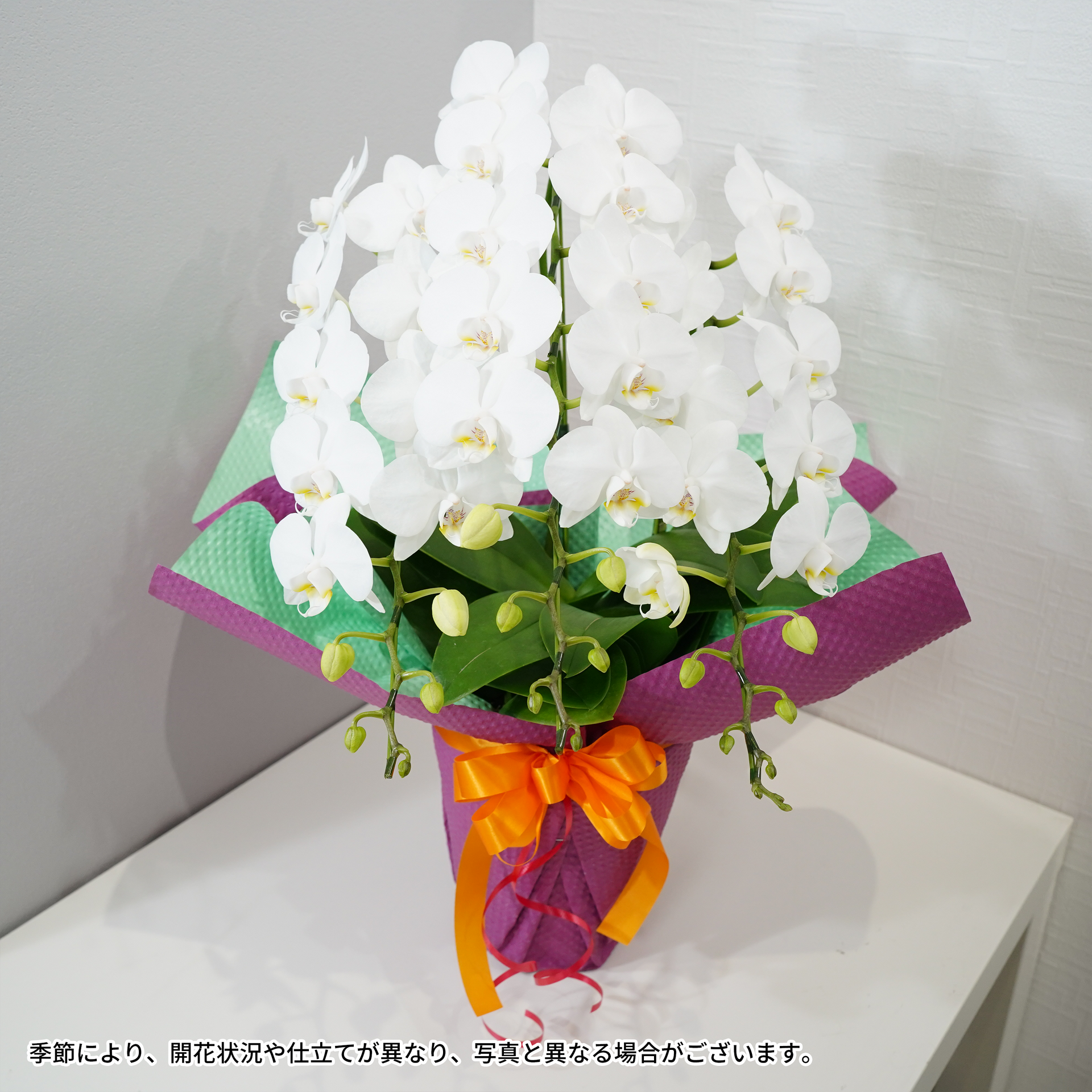 胡蝶蘭】ミディ3本立ち