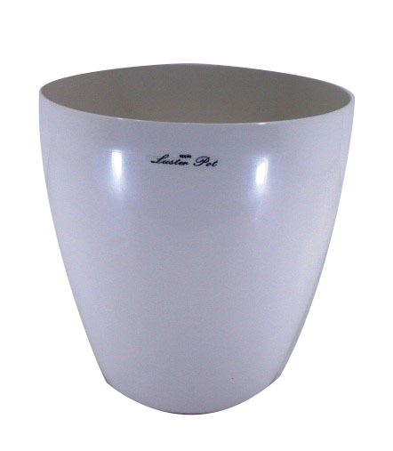 観葉植物(オプション鉢カバー8号)